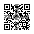 QR Code (код быстрого отклика)