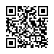 QR Code (код быстрого отклика)