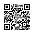 QR Code (код быстрого отклика)