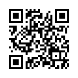 QR Code (код быстрого отклика)